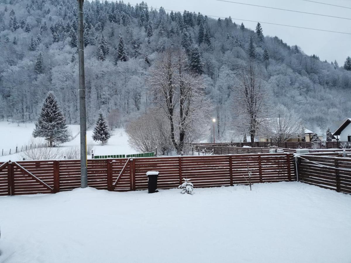 Cabana Lucia Tarcău-Gheuca Dış mekan fotoğraf