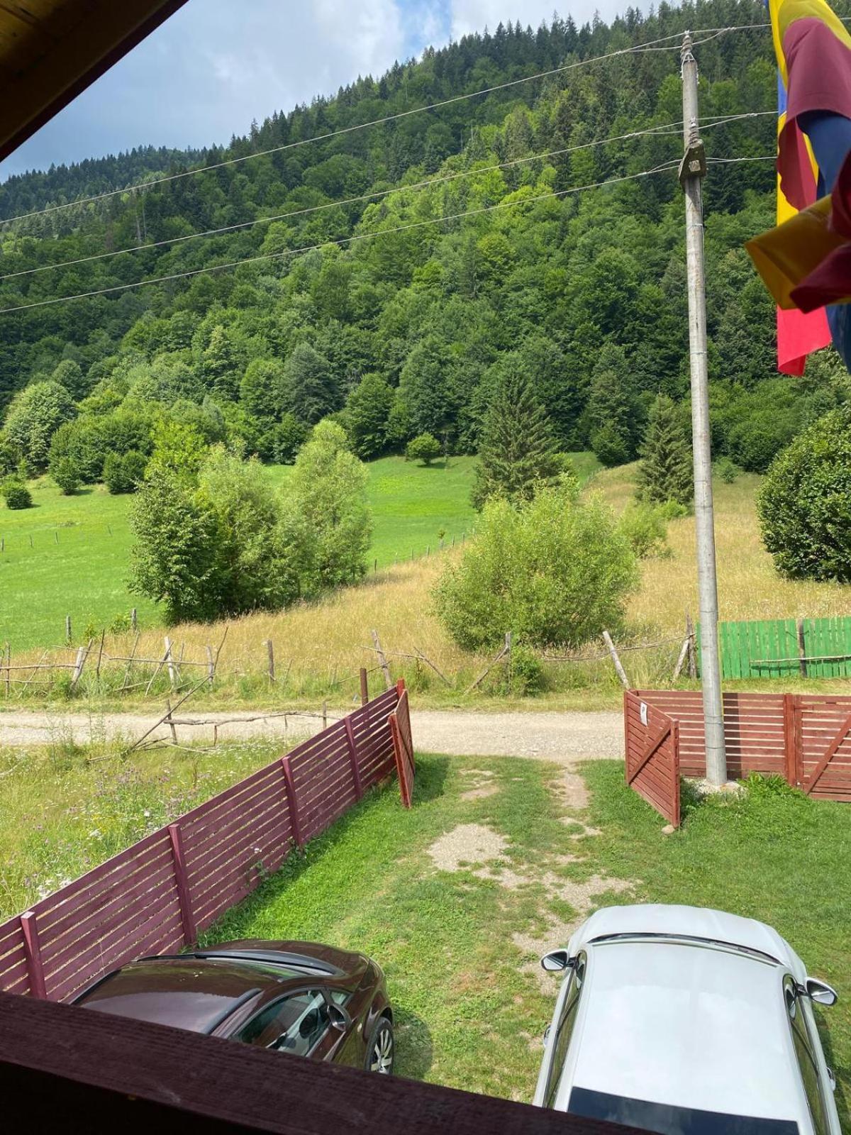Cabana Lucia Tarcău-Gheuca Dış mekan fotoğraf